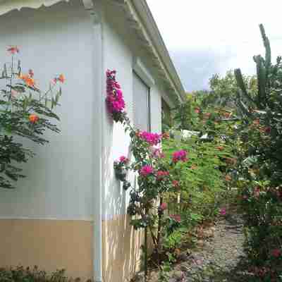 Detached apartment in villa Hotel Exterior