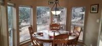 Forest cabin on 4 acres,  Newly renovated, Quiet and secluded.