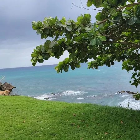 Beach access condo in the heart of Rincón. Short walk to town.