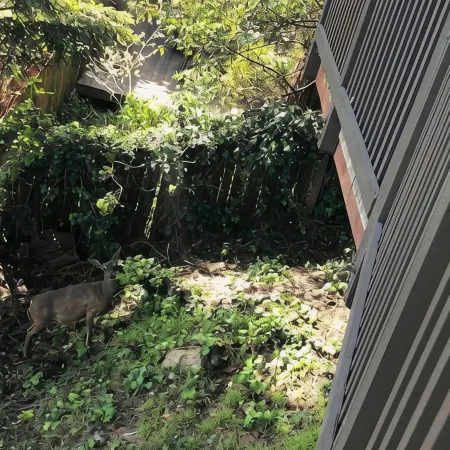 Lovely and Quiet suite with GORGEOUS VIEWS-10 min to Golden Gate Bridge