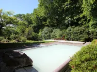 Soranoniwa Petit Hotel - Hot Springs
