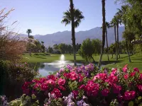 DoubleTree by Hilton Golf Resort Palm Springs - Mountain view