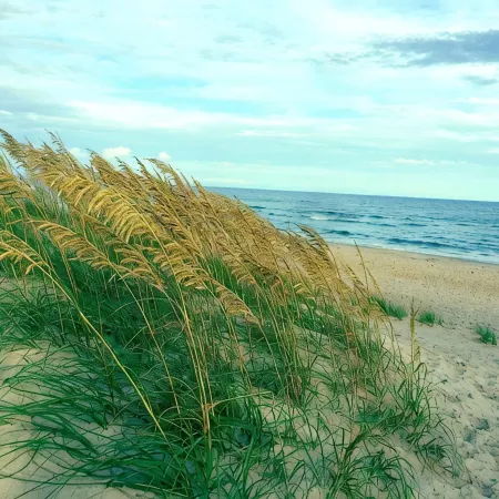 3 Bedroom, 2 Full Baths. Steps to Beach!
