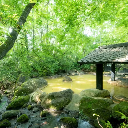Ryokan Shinseikan