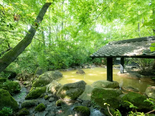 Ryokan Shinseikan - 2-Sterne