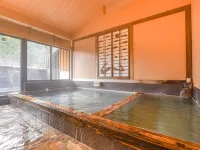 Hirayama Onsen Ryokan Kadoya - Bintang 2