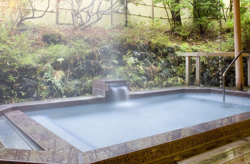 Fuji-View Hotel photo 6
