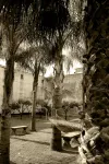 GARDEN OF THE VESUVIUS - Wifi