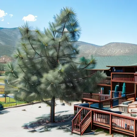 Corral Creek Lodge