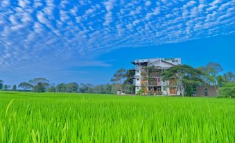 Green View Resort - Anuradhapura