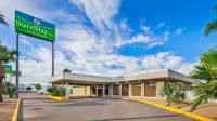 Best Western Hotel Bad Rappenau Hotels in Bad Wimpfen