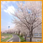 Business Hotel Tokiwa (Ibaraki) Hôtels à : Ami