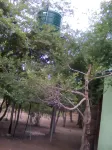 Naumba Camp Site Hotel a 