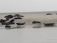 Le Refuge