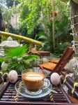 An Vien Coffee & Villa Hotels in Điện Bàn