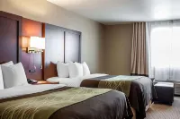 Comfort Inn 페르구스폴스 호텔
