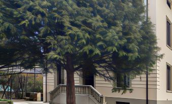 Villa Ricci Suites