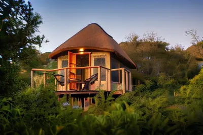 Elephants Safari Lodge - Bellevue Forest Reserve فنادق في Paterson