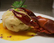 Logis Hotel Restaurant des Voyageurs Hotels in Treignac