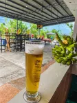 La Plumerias