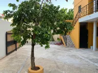 Glamour Hotel Hotels in La Romana