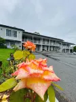 Colonial Lodge Motor Inn - Wifi