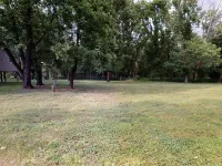 Waterfront Cabin - Family and Dog Friendly Hotels in Hardy County