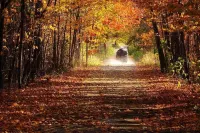 Rail Trail Retreat! Recently remodeled cozy home on Snowmobile/ATV Trail!