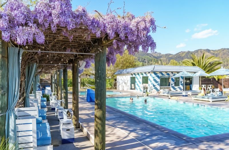Calistoga Motor Lodge Spa, A Jdv by Hyatt Hotel photo 2