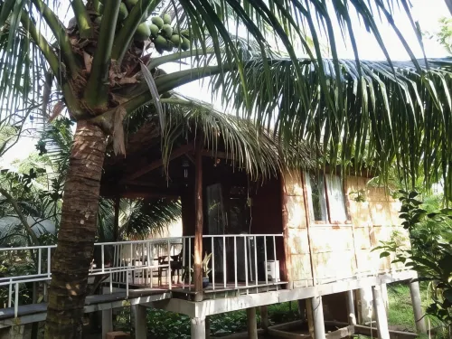 Quoc Phuong Riverside Homestay - 수영장