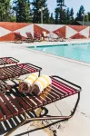 Noon Lodge - Pools