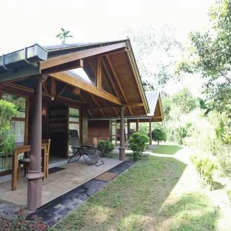 360 Rainforest