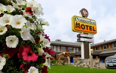 Companion Hotel Motel فنادق في هيرست