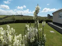 Craig Eithin B & B Hotels in 