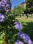 Esplanadens vandrarhem i Oxelösund - 2-Star