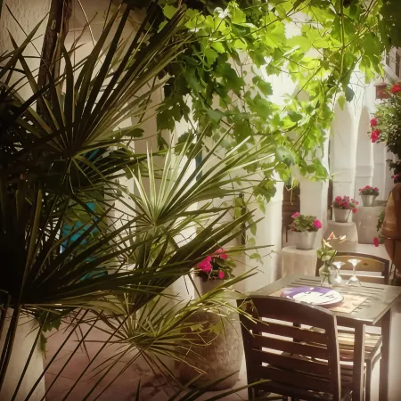 Hotel Arisha