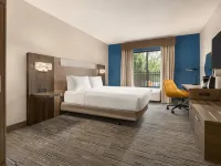Holiday Inn Express & Suites GREENVILLE-DOWNTOWN by IHG Hotels in Greenville