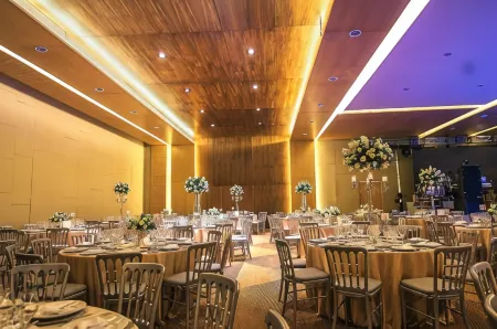 MS Milenium Monterrey, Curio Collection by Hilton