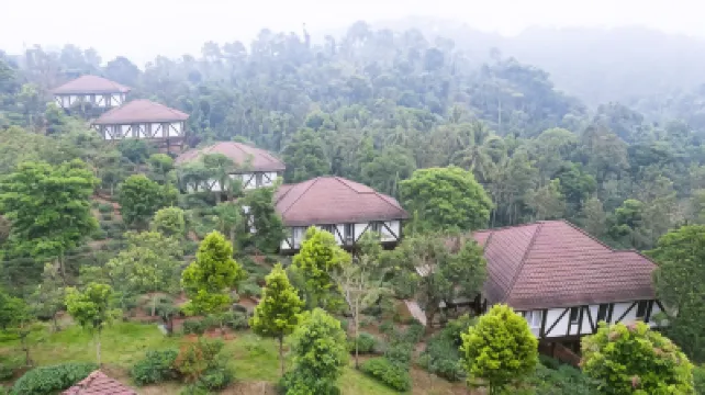 ジーヴェス リトリート ワヤナード のホテル