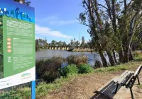24HourCheck-in- Bridgewater Motel-Victoria-Australia - مطابخ