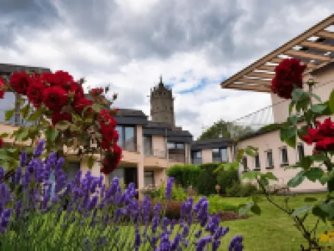 Hotel Villa am Rhein Hotels in Andernach