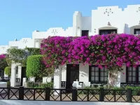 Verginia Sharm Resort & Aqua Park Hotels near Mustafa Mosque