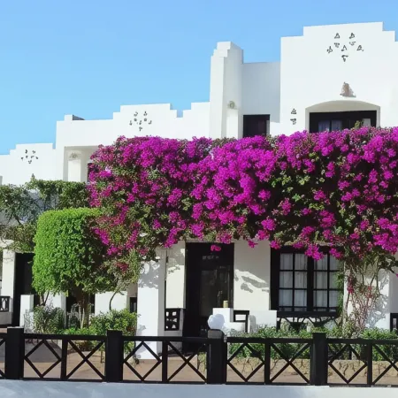 Verginia Sharm Resort & Aqua Park