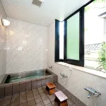 Hayakawaya Ryokan Hotel a Mitsuke