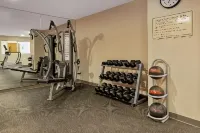 La Quinta Inn & Suites by Wyndham Detroit Metro Airport - gimnasio