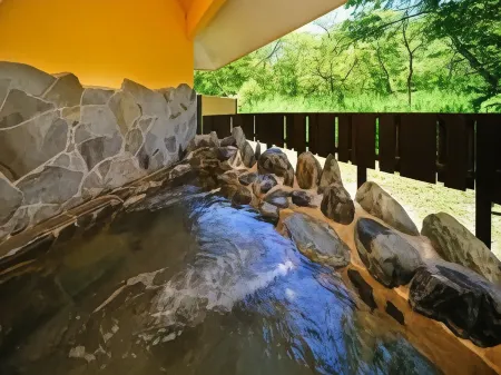 Classic Inn ROBIN'SSON Отели в г. Китасиобара