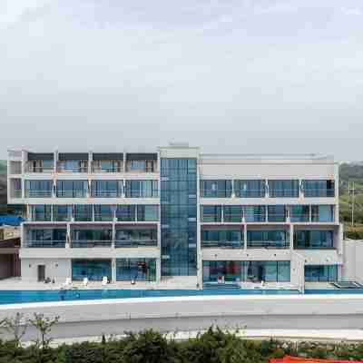 포항 마담아네뜨풀빌라 애견동반가능 Hotel Exterior