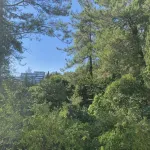 Дивный Оздоровительный Комплекс