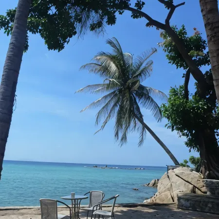 Samma Karuna Beach & Wellness Resort - Intoxicants free