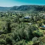 Forest Nature Spa - Pensions